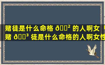 赌徒是什么命格 🌲 的人啊女「赌 🌳 徒是什么命格的人啊女性」